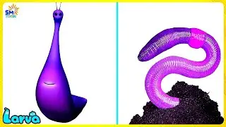 LARVA CARTOON TOP 30 EPISODE | CARTOON BOX NEW VERSION | COMEDY VIDEO 2025