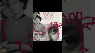 Unidad en Morena El Plan de Sheinbaum
