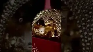 Parfume Sultan viral Evoscent
