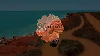 Aussie Adventure 2021
