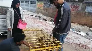 Vet Internship @ ( ডাঃ সাগীর'স পেট ক্লিনিক), ঢাকা II Dr. Sagir's Pet Clinic 01912251312