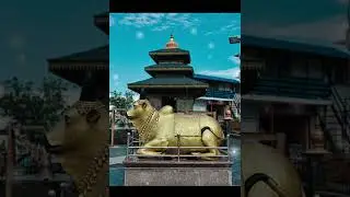 Nepal tour #friends #tour #bholenath #shiv #shorts #youtubeshorts