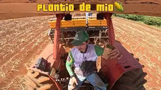 PLANTANDO O MILHO PRA SILAGEM AONDE ERA PRA SER SORGO |4k