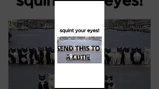 squint ur eyes challenge 😺