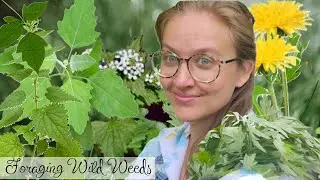 Wild Weeds to Vegan Feast: Foraging, Cashew Sauce & a Big Cooking Fail (Rolled Lasagna Win)