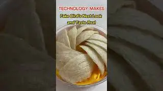 food technology | Someone makes fake bird's nest look and taste real