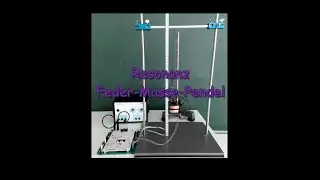 Resonanz Feder-Masse-Pendel