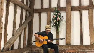 Wedding Ceremony/Reception acoustic guitar instrumentals