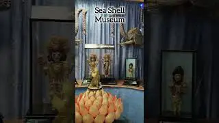 All made of Shells!🐚 Sea Shell Art Museum, Mysore.,wonderful work of Art!🖼️🐚 #seashellmuseum #mysore