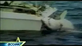 Sharkwater - Access Hollywood Feature