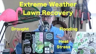 How to Fertilize A Lawn After Extreme Weather | Flood | Drought | Heat Stress