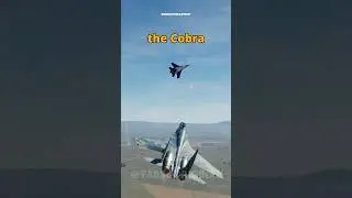 Cobra wins the Dogfight! #dcs #simulation