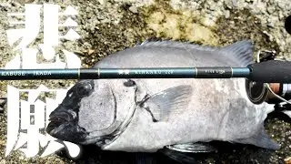 石鯛への道 / かぶせ釣り route8~ 堤防から磯の王者を狙う！