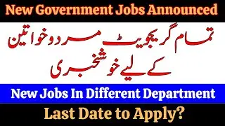 PPSC Junior Clerk Jobs 2025 Online Apply | Complete Guide | Eligibility, Syllabus & Past Papers