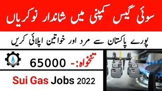 Sui Southern Gas SSGC Jobs 2022 Online Apply Male And Female | Sui Gas Jobs 2022 Apply Online