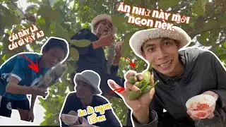 “Đặc sản” trên cây: Ăn kiểu này mới đúng chất dân chơi vườn mít! #amthucdongque #daimit #muoiot #gồm