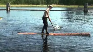 Suomalainen tukkij&auml;tk&auml; / A Finnish Lumberjack