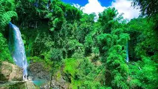 Relaxing Sounds For Sleep Without Music - River Water Sounds Relaxing