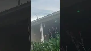 video compartido no lo termine de grabar pero lo poco se los conparto