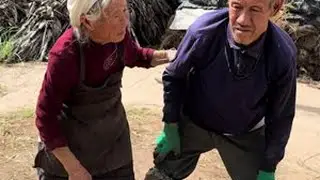 曾经我的爷爷奶奶都是英姿飒爽，非常漂亮的位美女，所以却为了我们家的生活累弯了腰，但是他们从来没有向生活和命运妥协，而是一起携手共进#坚强的老人#记录我的农村生活