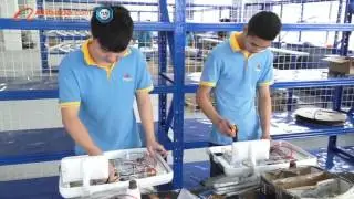 Foshan Hongke medical instrument factory