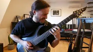 Dream Theater - Learning to Live Final Guitar Solo