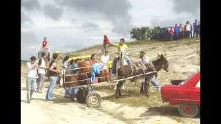NAVAS DEL MADROÑO   STO DOMINGO 2006