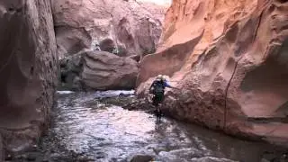 Atacama Crossing 2015: Water and Sand