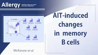RNA sequencing of single allergen-specific memory B cells after grass pollen immunotherapy
