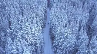 Royalty Free - Winter Snow Stock Video