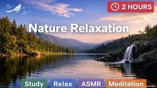 Waterfall & Forest Birds 🌲 2 Hours of Pure Nature Sounds (No Music)