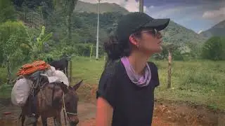 Rural Love // Gallinazos ft Jorge Ramirez