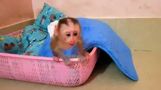Baebii Tto Love To Sit And Play In His Bucket