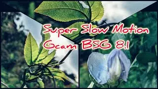 Super Slow Motion Gcam BSG 8.1 Mod