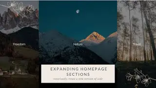 Expanding Homepage Section Gallery using HTML and CSS