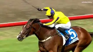 Gr.1 Sistema Railway winner Waitak heading to The Quokka