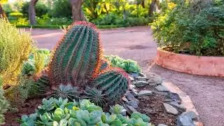 Simple Front Yard Landscaping Ideas On A Budget