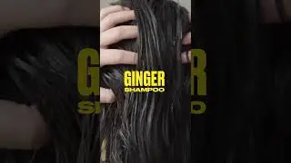 Ginger Anti-Dandruff Shampoo Shower