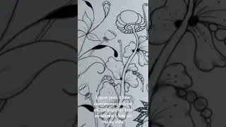 Fields of Flowers Zentangle