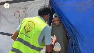 Bread Parcels Distribution (63) to the Displaced Families in Gaza