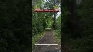 Begini Seremnya Alas Purwo #banyuwangi #alaspurwobanyuwangi #alaspurwo