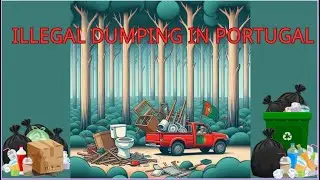 TRASH IN PORTUGUESE FORESTS: THE UGLY TRUTH OF ILLEGAL DUMPING