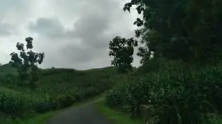 Bukit  Teletabis (naik)
