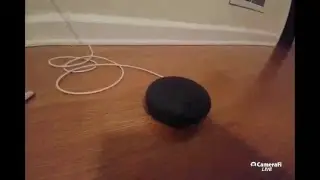 Google Home Mini Tips  and Tricks +More!