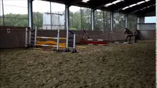 schimmel 3 jahre