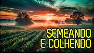 A Semente Cresce em Silêncio - O Reino de Deus se Fortalece (Marcos 4:26–29)