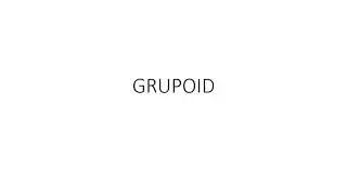 Grupoid