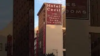 The Strange Death at the Cecil Hotel #shorts  #unsolvedmystry #ParanormalCase #MysteriousDeath