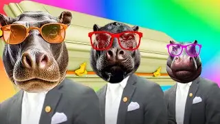 Funny Cute Hippos - Coffin Dance Song (COVER)