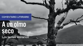 Comentario poético: 